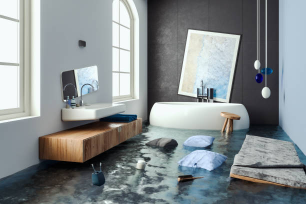 Senoia, GA Water damage restoration Company