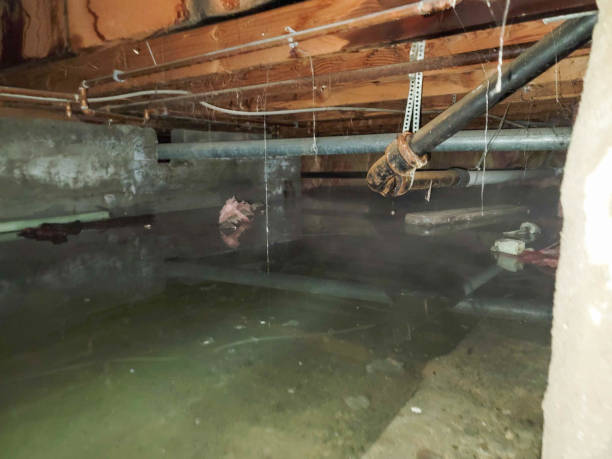 Best Residential water damage restoration  in Senoia, GA