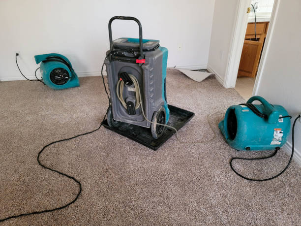 Best Flood damage cleanup  in Senoia, GA