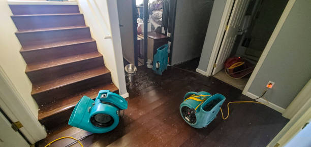 Best Water damage contractors near me  in Senoia, GA