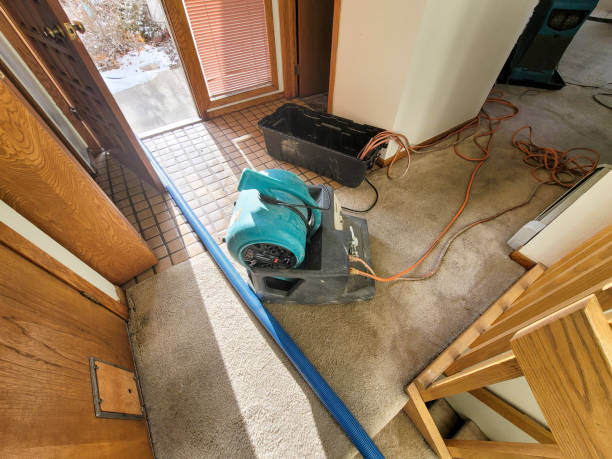 Best Ceiling water damage repair  in Senoia, GA