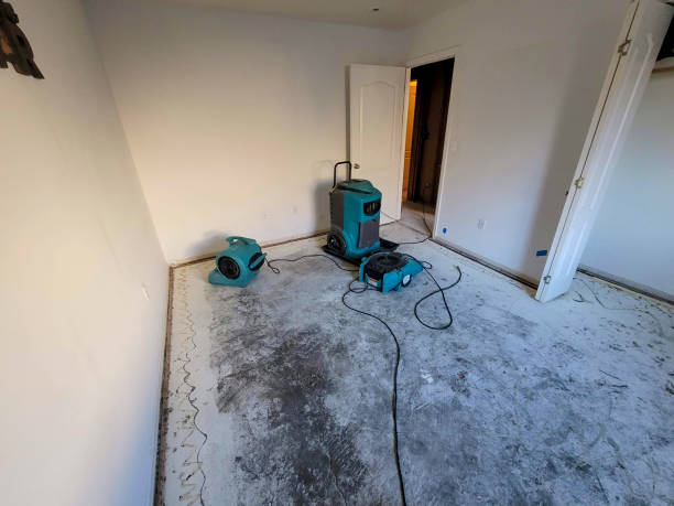 Best Fire Damage Restoration  in Senoia, GA