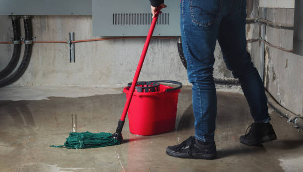 Best Emergency water damage restoration  in Senoia, GA