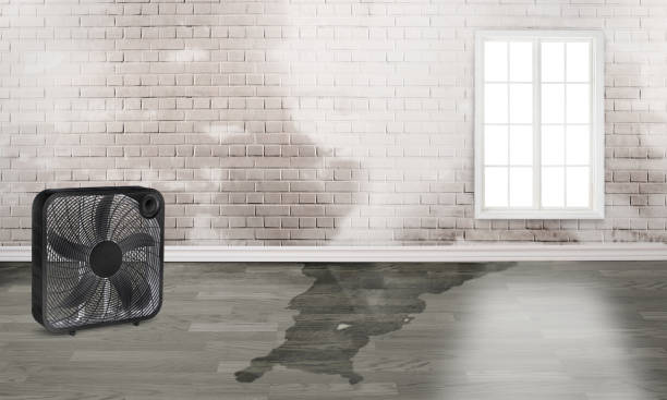 Best Emergency water damage restoration  in Senoia, GA