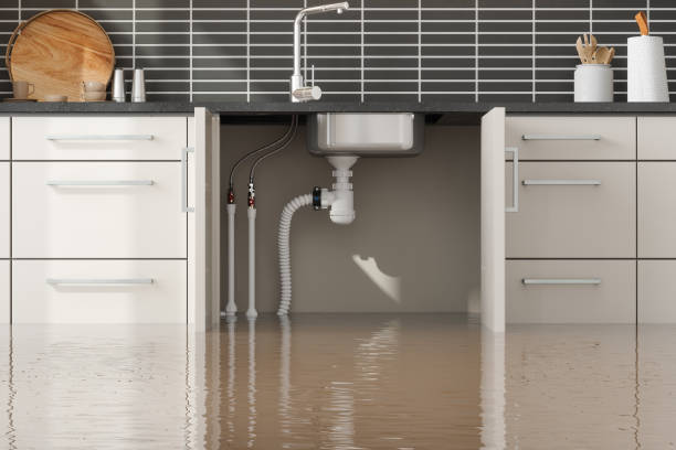 Best Water damage restoration near me  in Senoia, GA