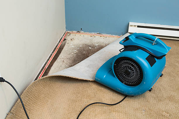 Water damage restoration mold remediation in Senoia, GA
